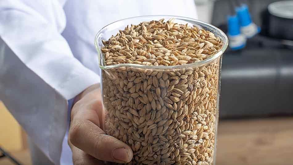 Malt Alternatif Tablosu