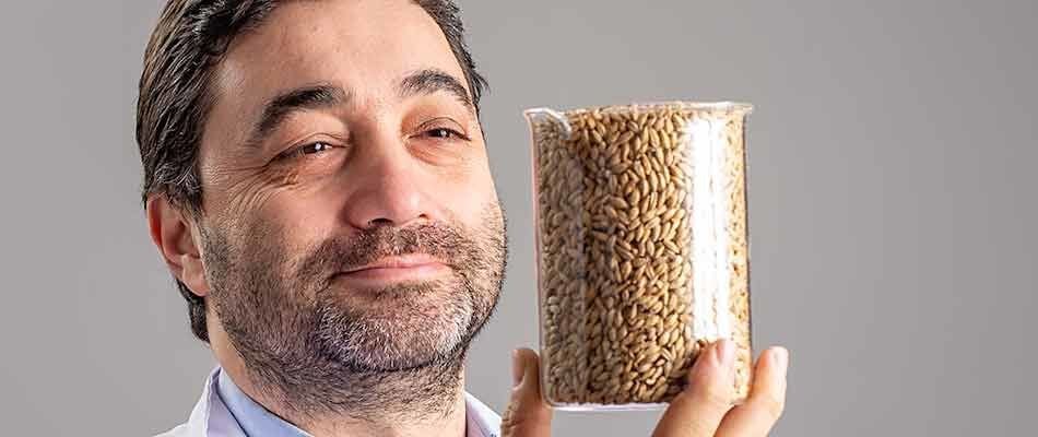 Malt Bira Analizi