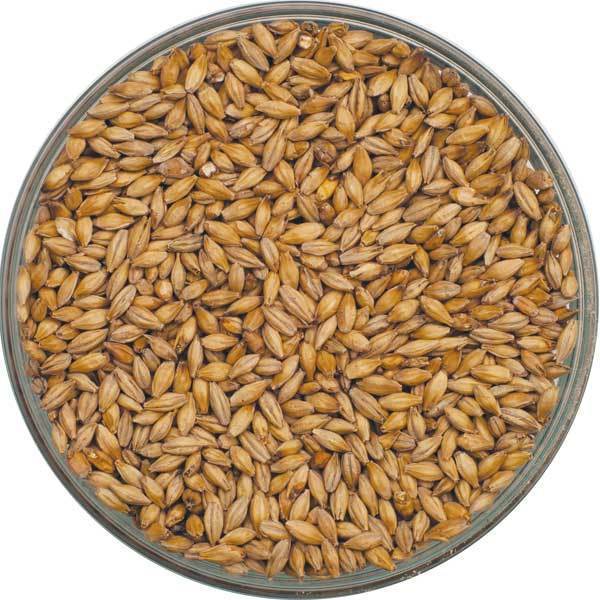 Pilsener Malt Thracian - 5 Kg.