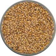 Pilsener Malt Thracian - 5 Kg.