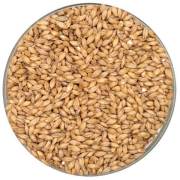 Pale Malt Thracian - 5 Kg.