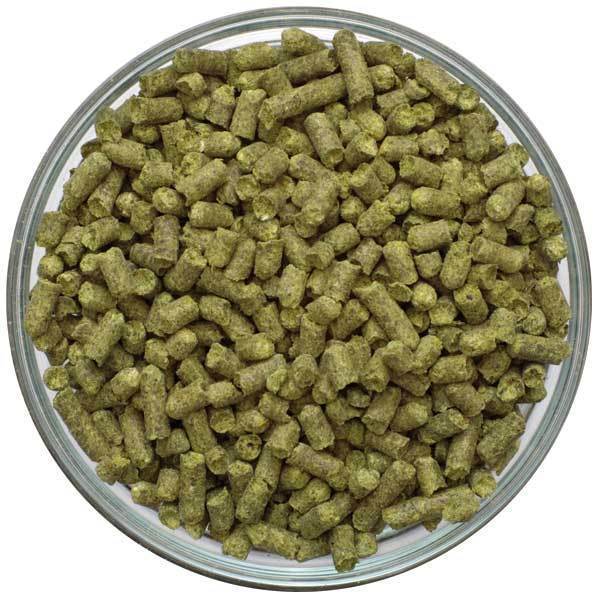 Willamette USA 100 gr.