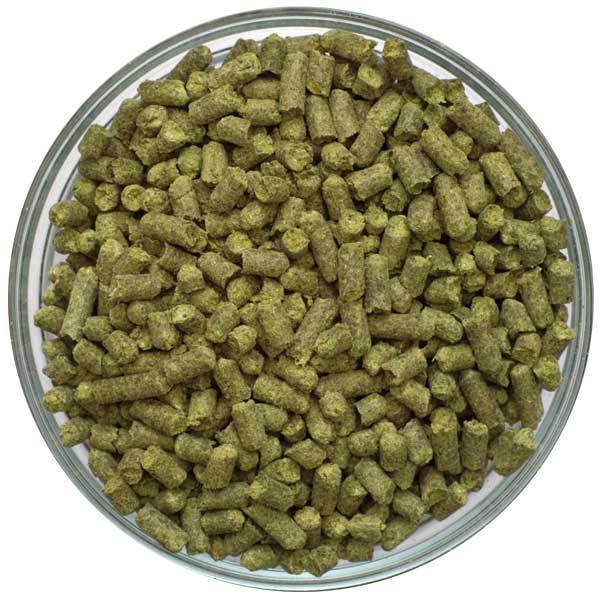 Magnum 100 gr.