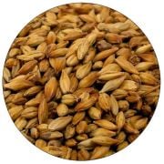 Caramunich Type 1 Weyermann - 1 Kg.