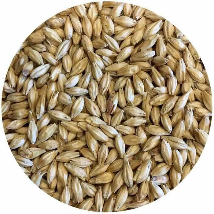 Pilsner Malt Viking 5Kg