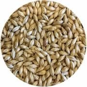 Pilsner Malt VK 1Kg