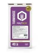 Farmhouse Ale