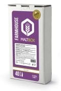 Farmhouse Ale