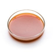 American Malt Özütü