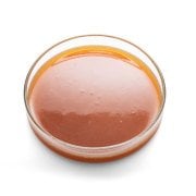 Bohemian Pilsner Malt Özütü