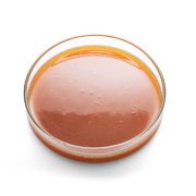 Bohemian Pilsner Malt Özütü