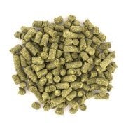 Sabro IPA