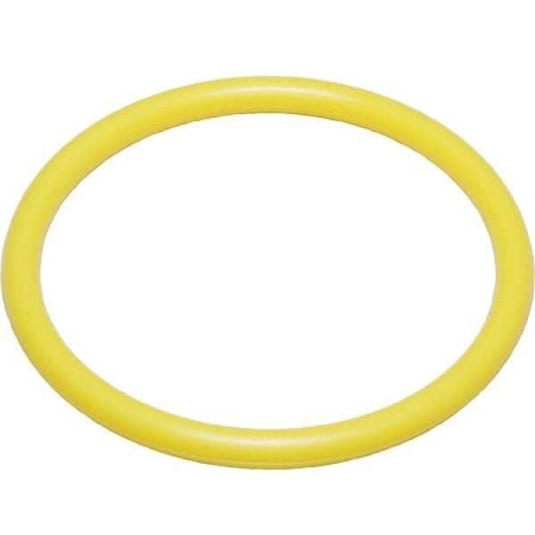 Silikon O-Ring 21/3 mm