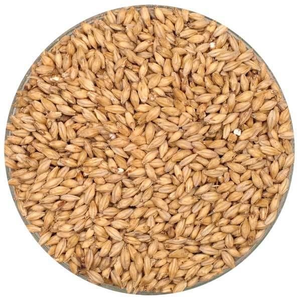 Extra Pale Pilsner Malt Weyermann - 5 Kg.