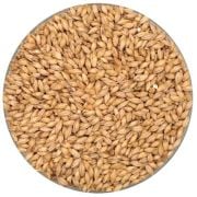 Extra Pale Pilsner Malt Weyermann - 5 Kg.