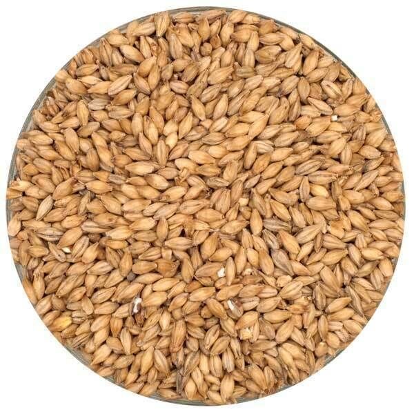 Pilsener Malt - Weyermann - 5 Kg.