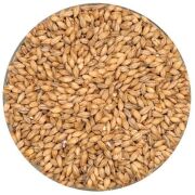 Pilsener Malt - Weyermann - 5 Kg.