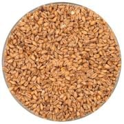 Buğday Maltı Pale Weyermann - 5 kg.
